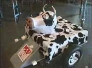 Mad Cow side-on in the pits