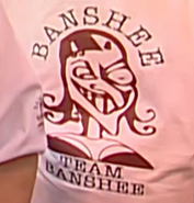 Team Banshee logo