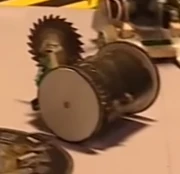 Buzzant in the arena