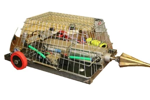 Basketcase, another featherweight owned by Krissy Knee