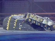 Beast of Bodmin Invertabrat