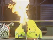 Technophobic's petrol tank burns as Pitbull looks on