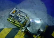 Behemoth axes Crushtacean