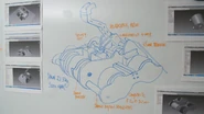 Sabretooth's design sketch as seen in the opening of Series 8