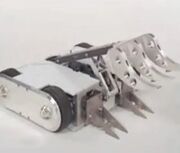 AlphaRaptor