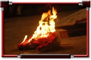 Fluffy on fire.gif (28 KB) The featherweight Fluffy on fire