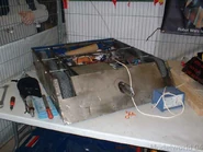 Niteriderlive.png (618 KB) Niterider with a shorter drill in the pits at Brighton ModelWorld in 2004