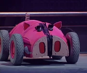 Robopig in the arena