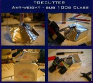 Toecutant.jpg (51 KB) Toecutter, the team's antweight