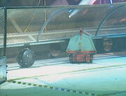 Meanwhile, Velocirippa was supposed to be in the Pinball Competition before it was switched to Robotic Soccer