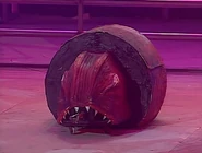 Torque of the Devil in the arena