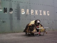 Afterfight.jpg (63 KB) Ruf Ruf Dougal, badly burnt following its defeat in Series 6