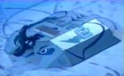 Manta US2