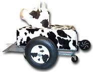 Side profile of Mad Cow