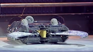 Scarab in the arena in Series 3
