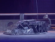 Sting 2 in the arena