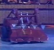 Red Virus in the arena