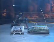 Spikasaurus impales Suicidal Tendencies