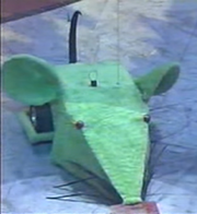 Green mouse arena