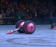 Stinger fights at Bronebots in 2015