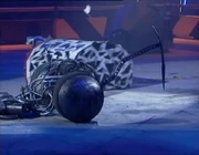 Sumpthing vs pitbull