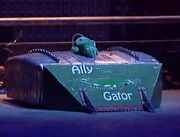 Ally gator