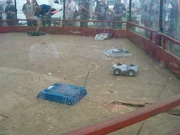 Pillow Torque at Roaming Robots Northampton 2004