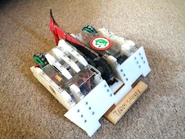 Gimli 2020.jpg (518 KB) Gimli in August 2020