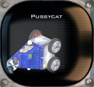 Pussycat AoD