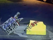 Technophobic Pitbull