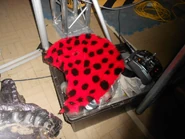 Fluffyfeather.jpg (92 KB) Fluffy, before being set on fire