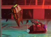 The flip from which Dantomkia did not recover