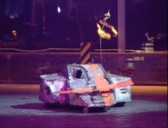 Little fly arena.png (596 KB) Little Fly in the arena