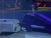 Toecutter is bounced up by the  as it slashes the fur or Purple Predator