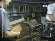 Sting videodiary 5