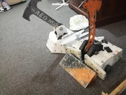 Both versions of Red Hot Tilly Pecker in July 2020