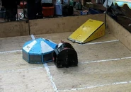 Axe.jpg (55 KB) Eco Warrior as Wedgey (top right), at a live event