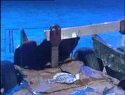 Shunt axes tricerabot