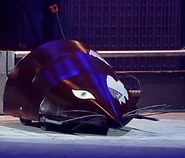 Rattus Rattus arena.jpg (102 KB) Front view of Rattus Rattus