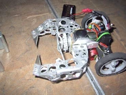 An antweight version of Tough as Nails in 2002