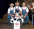 Team Mad Cow