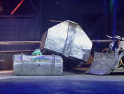 Ally Gator drives Berserk 2 in towards Shunt