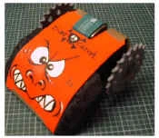 Diced Carrot, the team's first antweight