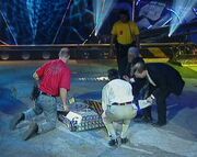 For the first time, the judges actually inspected the robots up close