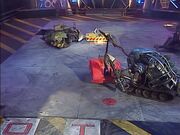 Sergeant Bash intervenes as Panic Attack pushes Shunt