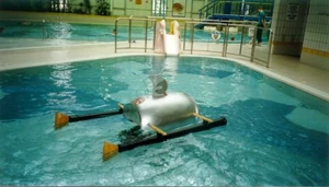 Cyber Shark in action during its Swimming heat