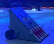 Mastiff in the arena