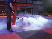 Technophobic extinguished