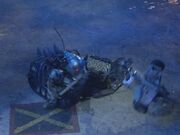 Snookums is spun around by Sir Killalot