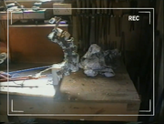 Sting videodiary 4